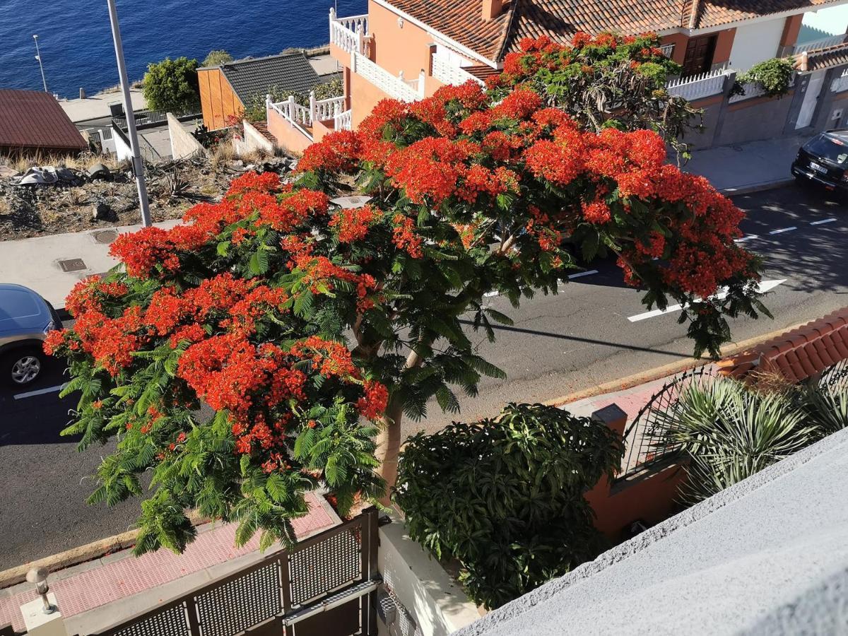 Balcon De Costanera Vila Santa Cruz de Tenerife Exterior foto